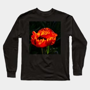 Red poppy blossom highlighted by the morning sunshine Long Sleeve T-Shirt